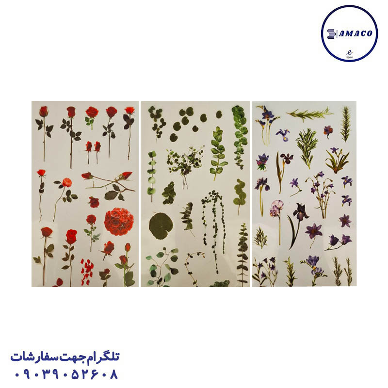 خرید استیکر 6 عددی طرح گل(30) B70 عکس استیکر استیکر 6 عددی طرح گل(30) B70
