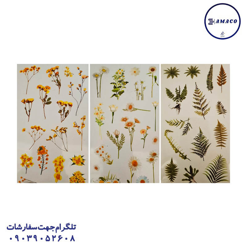 خرید استیکر 6 عددی طرح گل(30) B70 عکس استیکر استیکر 6 عددی طرح گل(30) B70