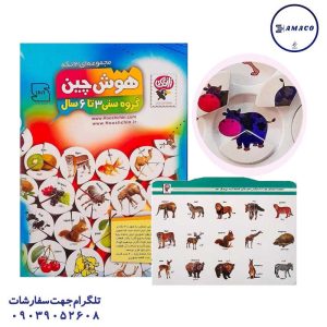 عکس بازی فکری هوش چین مجموعه 3 تکه(ف) زاغک