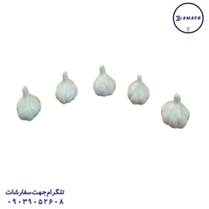 عکس بدون دسته‌بندی سیر بزرگ 100 عددی